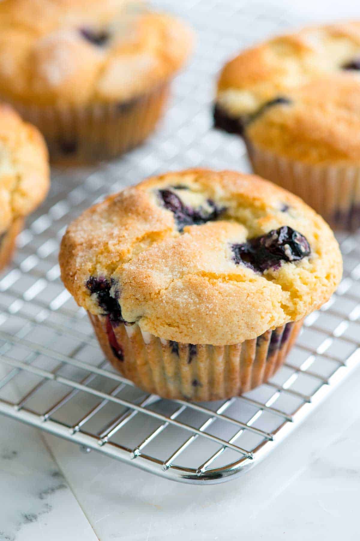 Blueberry muffins / mini loaves