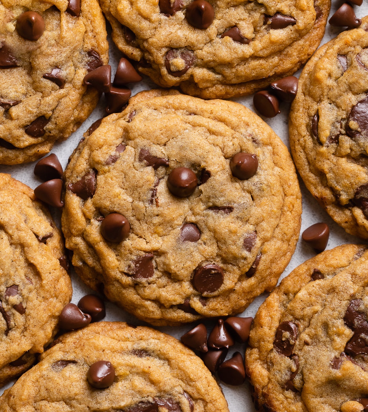 Pumpkin chocolate chip cookies